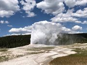 オールドフェイスフル