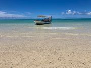 透明すぎる綺麗な海‼️