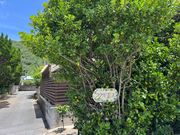 近くにはこんなスポットも