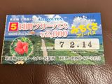 5日間フリーパス