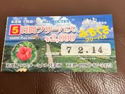 5日間フリーパス