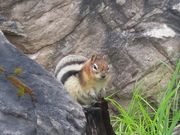 マーブル渓谷にて