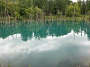青い池