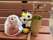 裸足で海に入ると汲みやすいですよ。