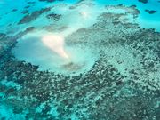 セスナからのバリアリーフ