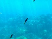 サブマリンからの写真