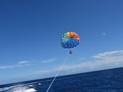 写真を頼めばたくさん撮ってくれるので、現金を持って行くことをおすすめします