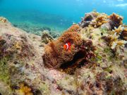 インストラクターさんが撮ってくれた写真