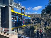 急降下ロープウェイ