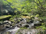 トレッキング中のジブリ