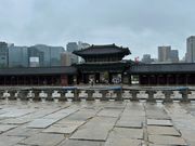 きょんぼっくん