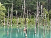 青い池