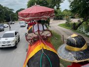 念願の象に乗れました