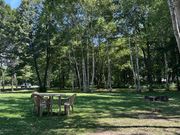 ふらのチーズ工房内のベンチ アイスなどを座って食べることができます