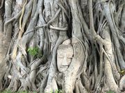 思ったり小さい