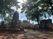 ワットプラシーサンペット