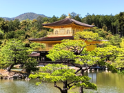 金閣寺何度見ても日本一！