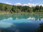 青い池は青い！