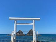 海の中に鳥居だなんて不思議