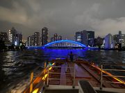 船上から永代橋を楽しめました♪