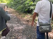 ガイドさんと原生林を歩く