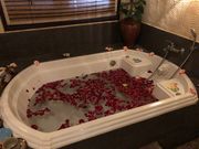 フラワーバスも初体験