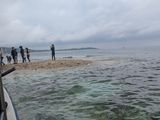 バラス島です。小さくなってました。