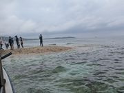 バラス島です。小さくなってました。