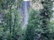 ７月末の滝の水量。風に揺られてベールのよう