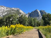 見落としそうなビューポイントも教えてくれます！