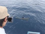 動画もらくらく‼