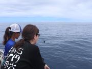 雄大な自然を満喫！