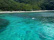 シュノーケリング