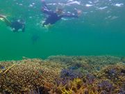 水中カメラも撮っていただけました。