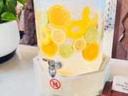 ディズニーリゾートの入口で素敵なサービス