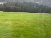 キツネとウサギのツーショット②