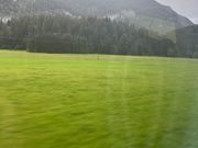 キツネとウサギのツーショット③