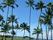 ヒロのダウンタウンから見える海