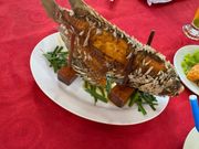 象耳魚結構大きかった！