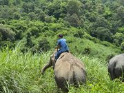 象に乗って山を散歩