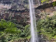 想像以上に迫力！