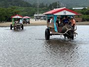 のんびりと由布島へ