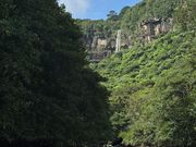 朝イチのツアーは静かで幻想的！