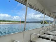 仲間川マングローブクルーズ