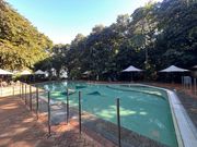 グリーン島内のプール