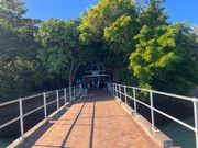 グリーン島への入り口