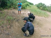 宮良川に落ちていたマングローブの種を植えました