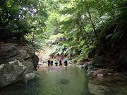 やんばるの自然を散策