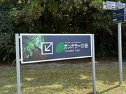 いよいよ冒険の旅が。