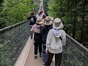 キャピラノブリッジ